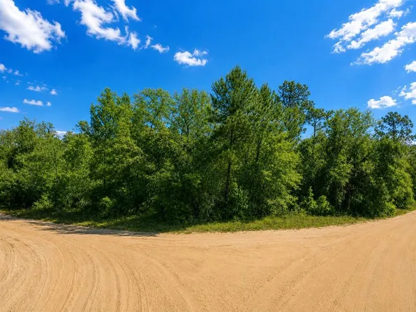 TBD DOGWOOD DRIVE LOT 217, INTERLACHEN, FL 32148