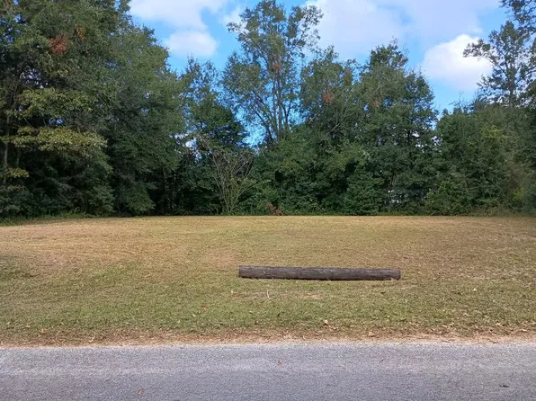 247 Pine Ave, Wewahitchka, FL 32465