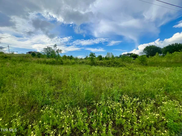 5 Carpenters Chapel Rd, Mosheim, TN 37818