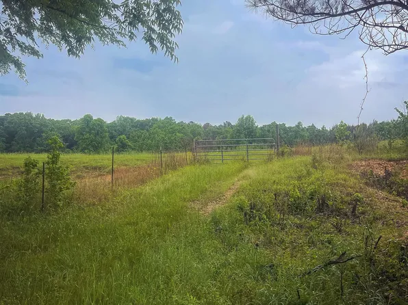 250 County Road 132, Vina, AL 35593