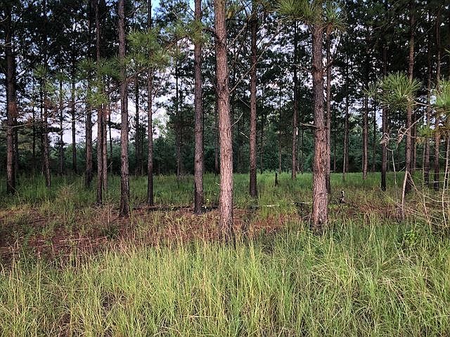 1st image of 10 Ac Cres #91