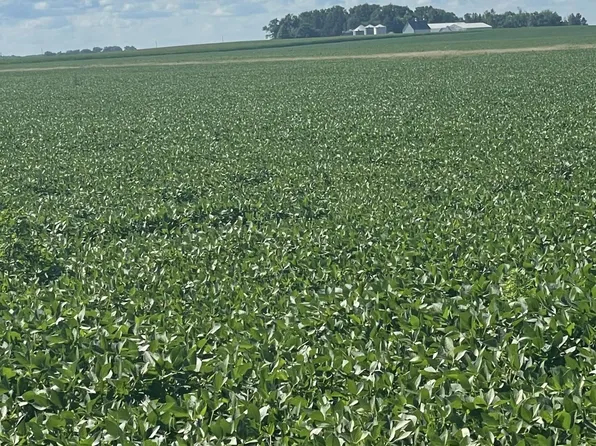 437th Ave, Delavan, MN 56023