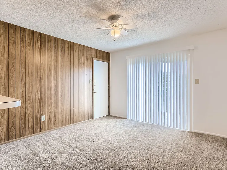 3855 S Monaco Pkwy #265 — Photo 4