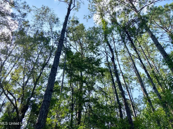 Merritt Rd, Leakesville, MS 39451