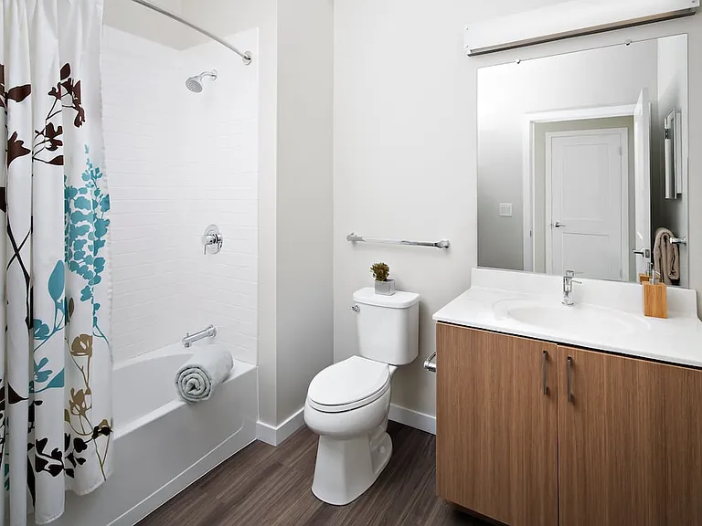 Modern Bath