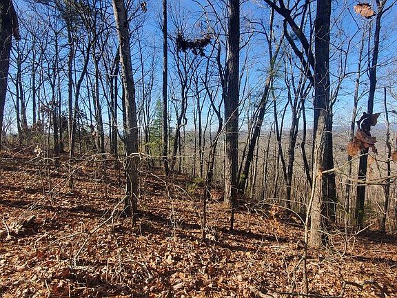 5th image of LOT 171 Doll Mountain Rd