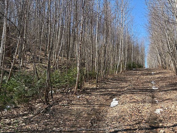 4th image of 0 Hamilton Lake Rd