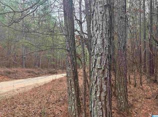 County Road 823 LOT 6, Wadley, AL 36276