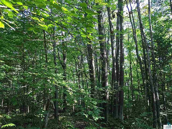 5th image of approx 125 Acre Highway C