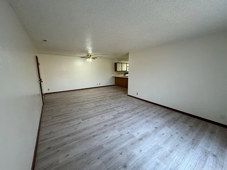 Pine Tree Apartments — Photo 22