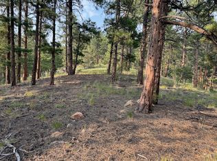 302 Oak Rd, Westcliffe, CO 81252