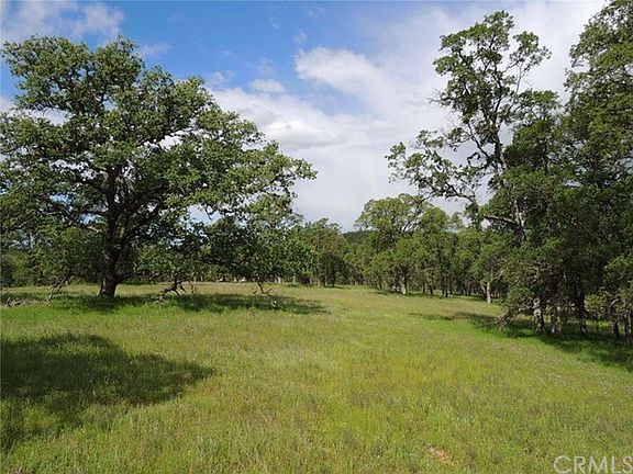 Meadows dotted with mature oaks