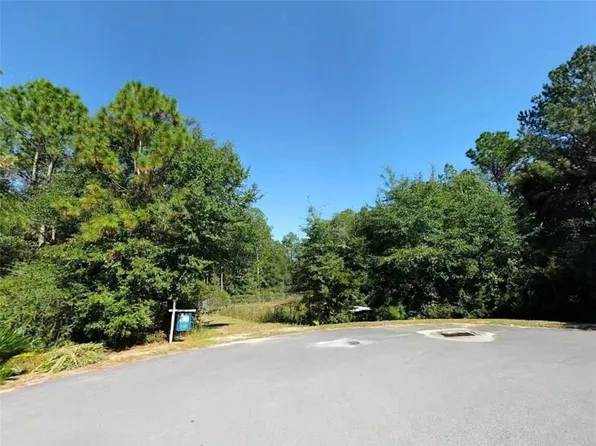 Magnolia Lake Dr, Defuniak Springs, FL 32433