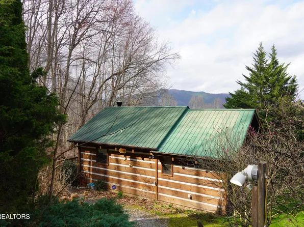 994 Emilyville Way, Cosby, TN 37722