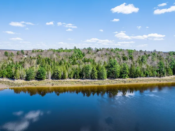 M005L089 Leaches Point Road, Orland, ME 04472