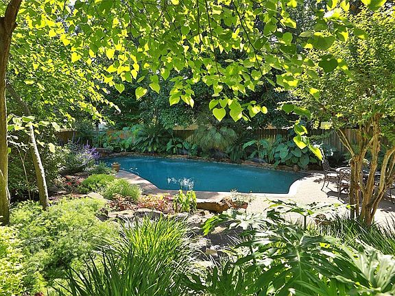 BACK YARD - Looks like paradise!
