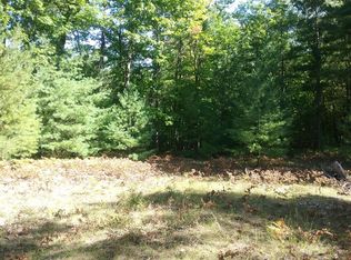 865 Wintree Dr #17, Indian River, MI 49749