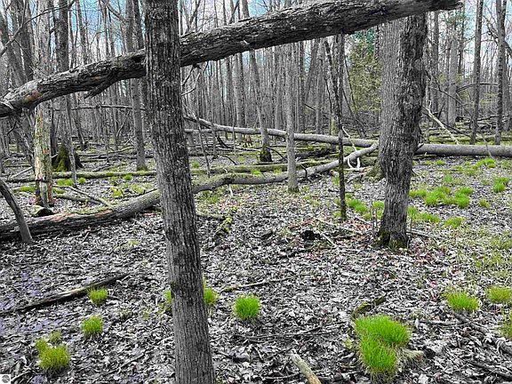 5th image of Nka Pine River Rd