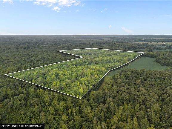 4th image of 2030 Red Williams Rd