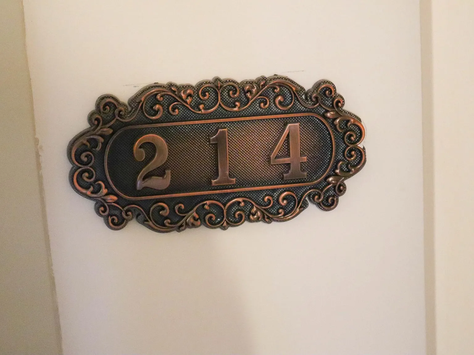 Studio, 515 sqft, $1,000 — Photo 2