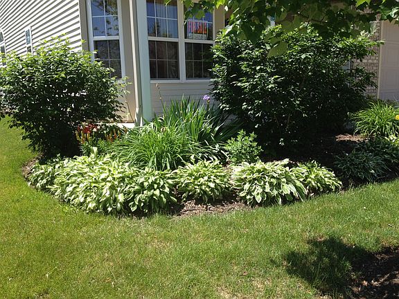 Front Flower Bed