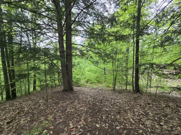 Lot 10C Staples Pond Road, Temple, ME 04984