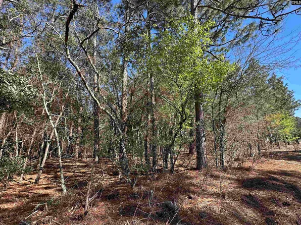 9 Mimosa Dr, Gaston, SC 29053