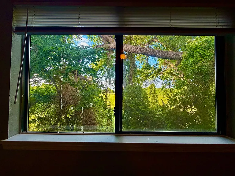Kentucky Pine Apartments — Photo 18
