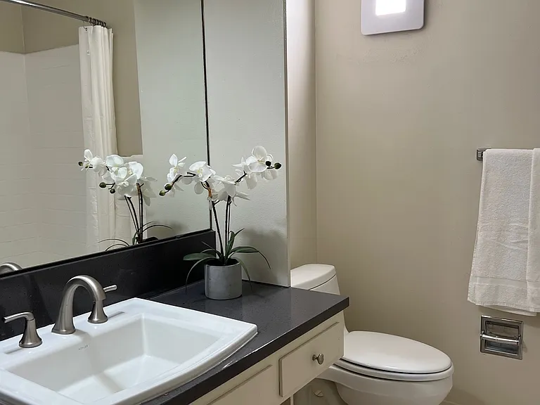 10 Mulberry Court — Photo 21