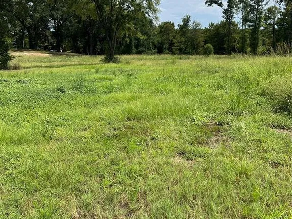 0 Copper Ct Lot 20, Zwolle, LA 71486