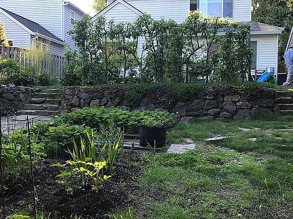Another view garden