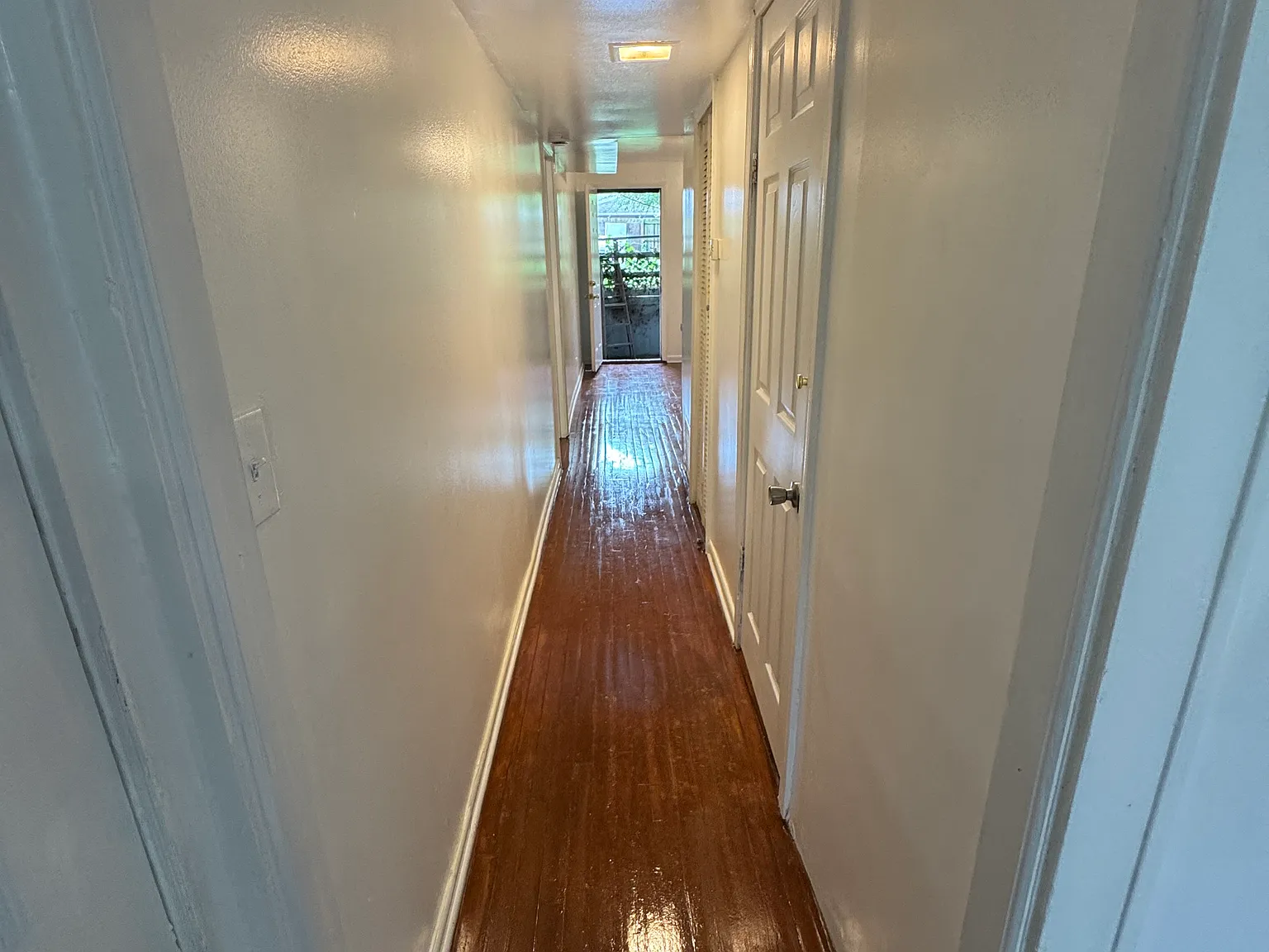 1 bed, 1000 sqft, $1,250 — Photo 3