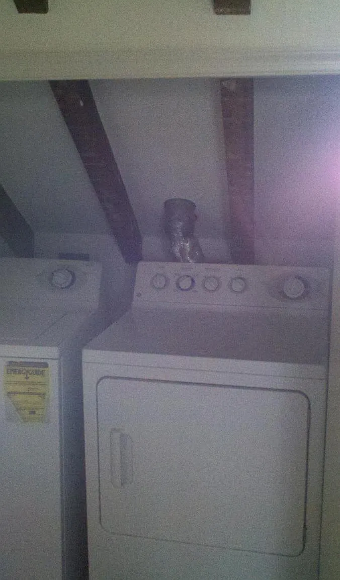 2 bed, 1000 sqft, $1,800 — Photo 4