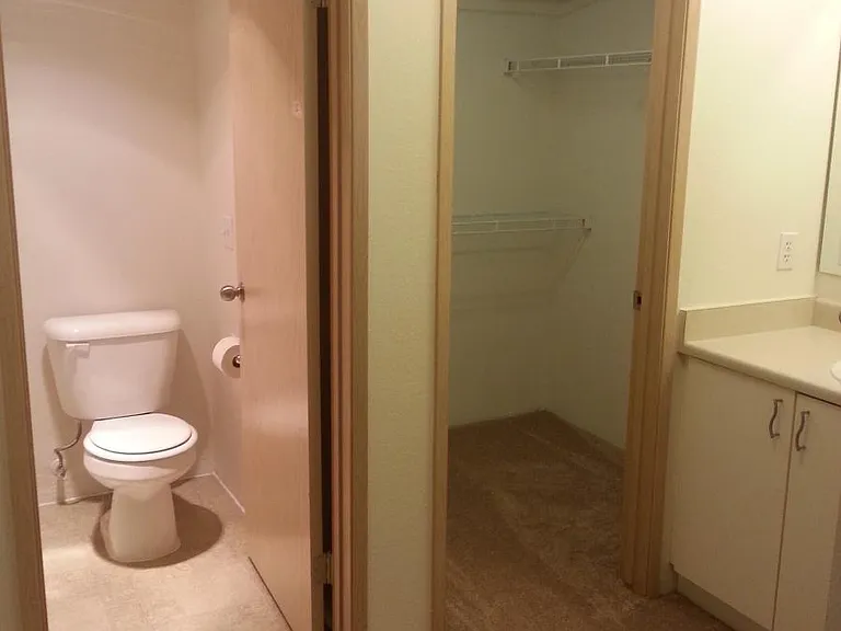 Master bath and closet