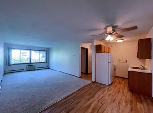 425 University Ave SE APT 203, Minneapolis, MN 55414