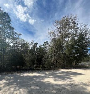 NE 141st Ter LOT 16, Williston, FL, 32696
