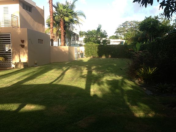 Terrace and Patio