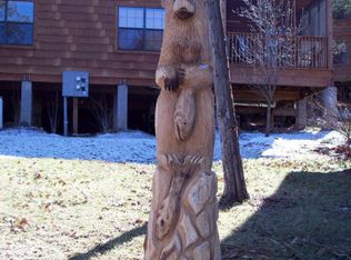 274 Oak Ridge Rd, Branson, MO 65616