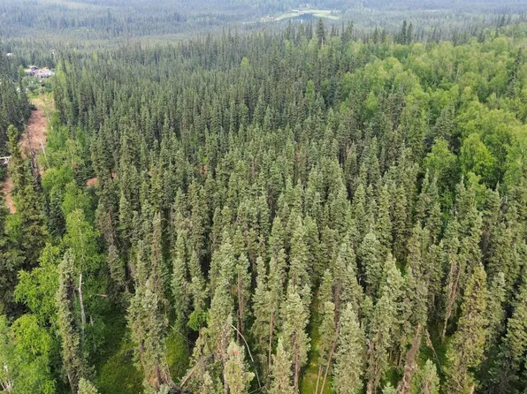Nhn Bias Dr, Fairbanks, AK 99712