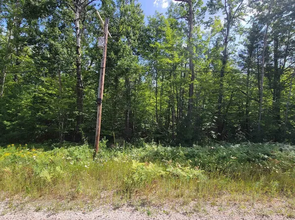 15097 Avenue D #100, Wolverine, MI 49799