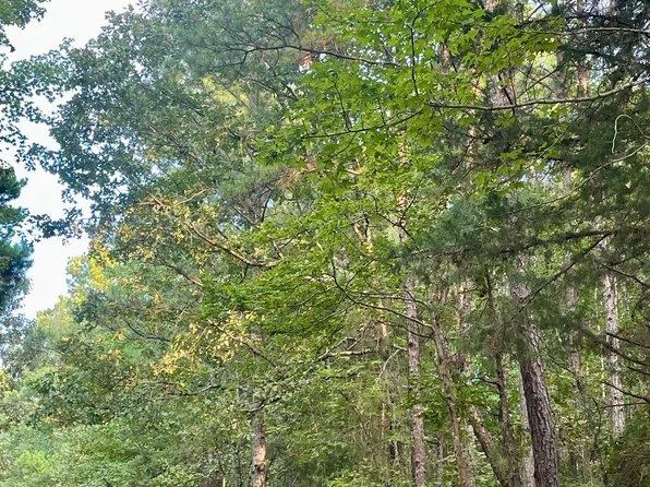 Miller County #32, Doddridge, AR 71834