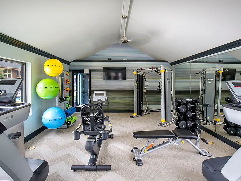 Fitness center with cardio and strength equipment