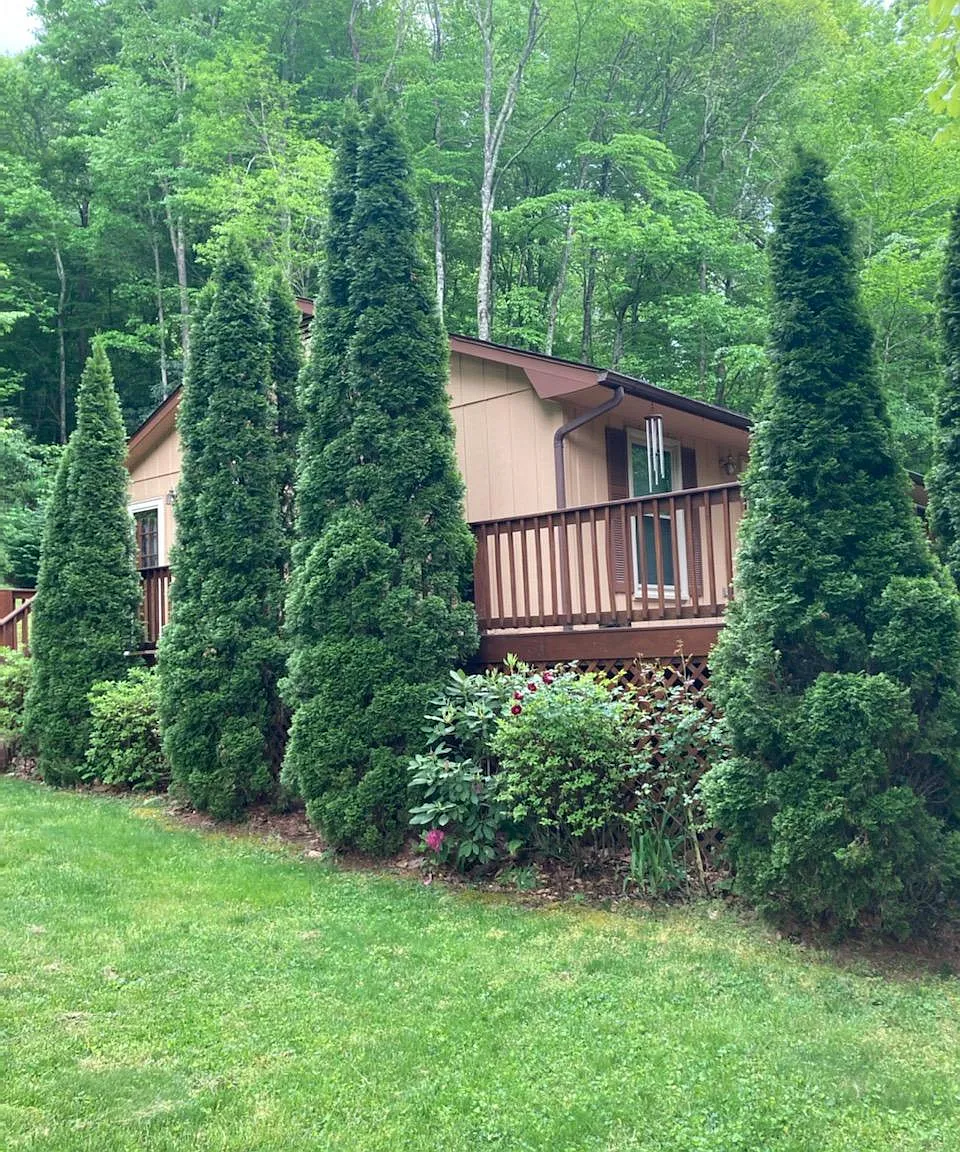 3 bed, 1650 sqft, $2,300 — Photo 3