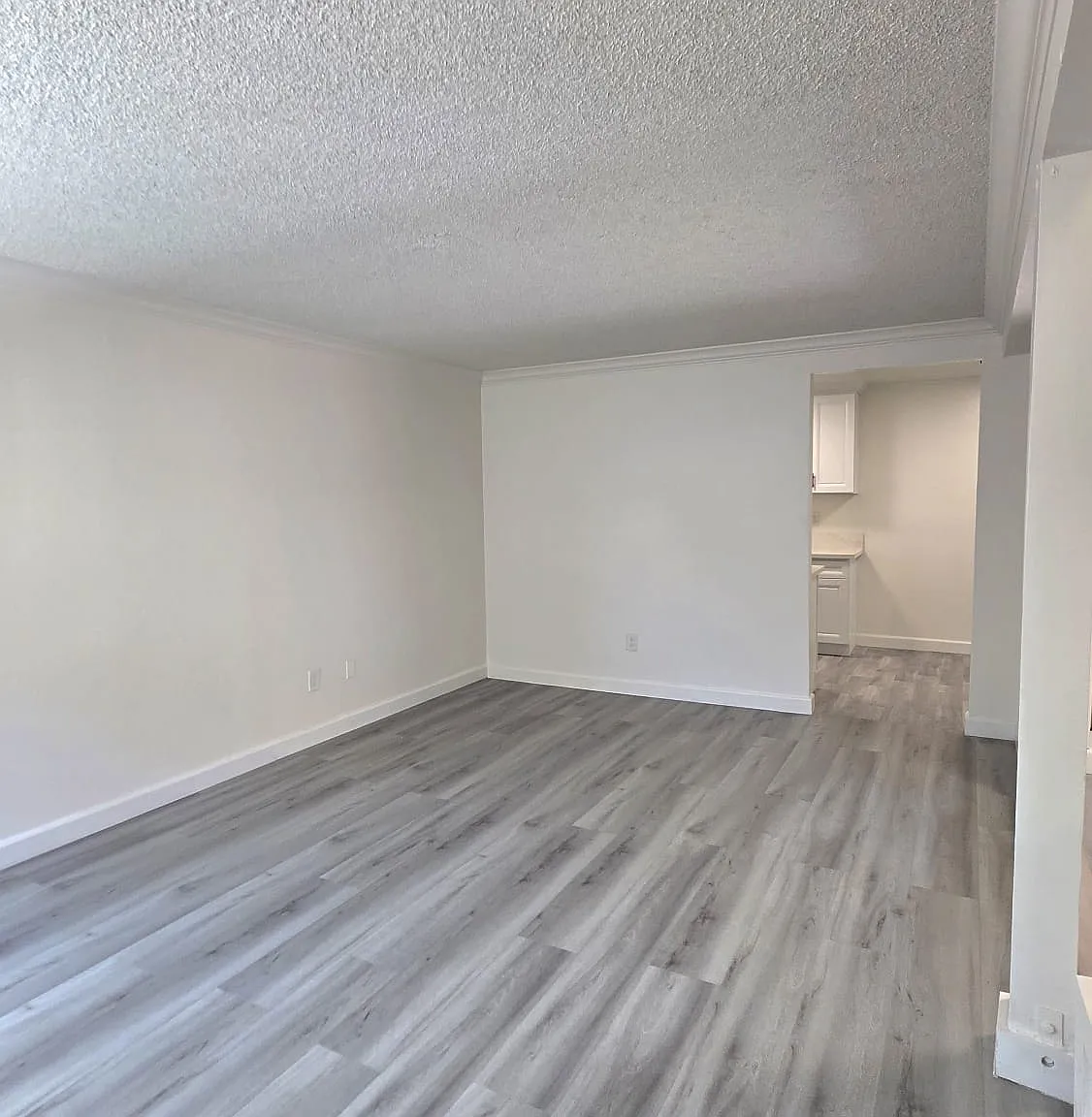 3 bed, 1132 sqft, $3,795 — Photo 4