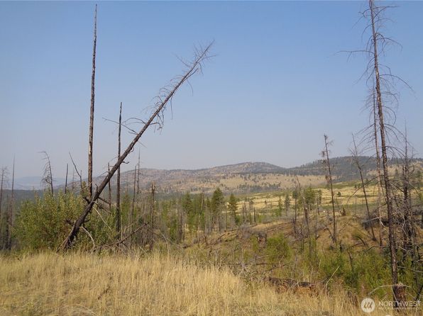 19 Lot Red Feather Road, Riverside, WA 98849