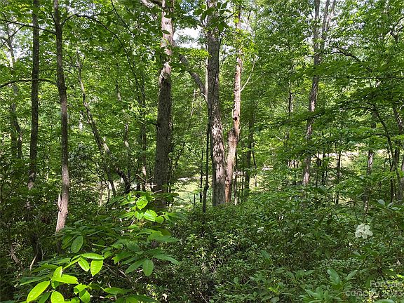 5th image of 56 Winesap Blvd