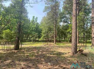 37 Avenida Securidad Ave, Rociada, NM 87742