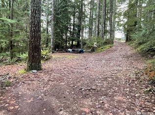 91 N Quinault Pl, Hoodsport, WA 98548