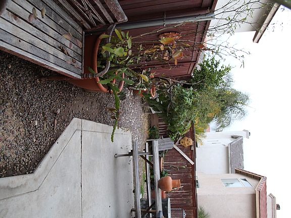3rd image of 856 Honey Grove Way