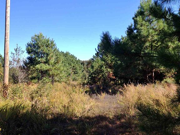 4th image of 746 County Road 730